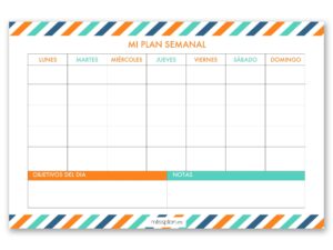 Organizador Semanal Carvin